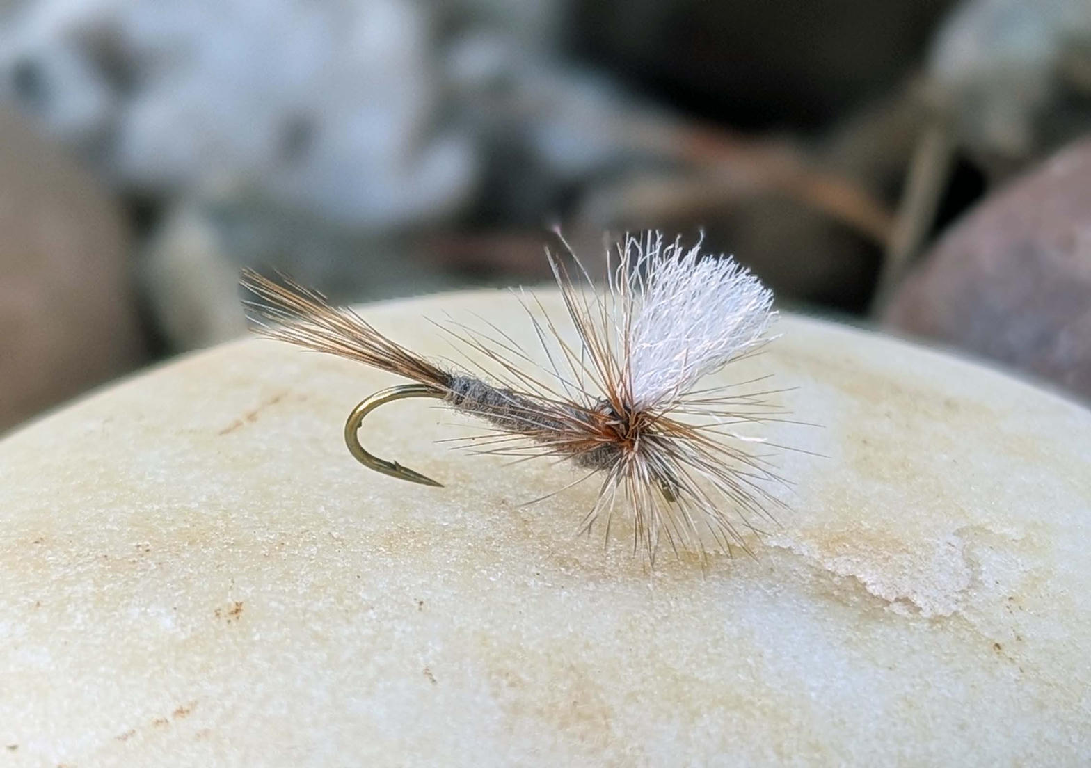 Parachute Adams dry fly