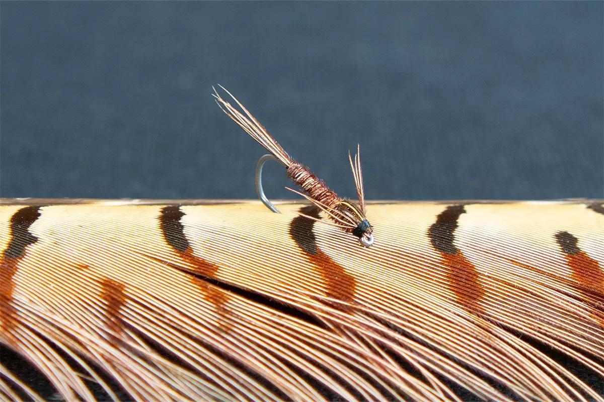 Pheasant Tail nymph on a pheasant feather