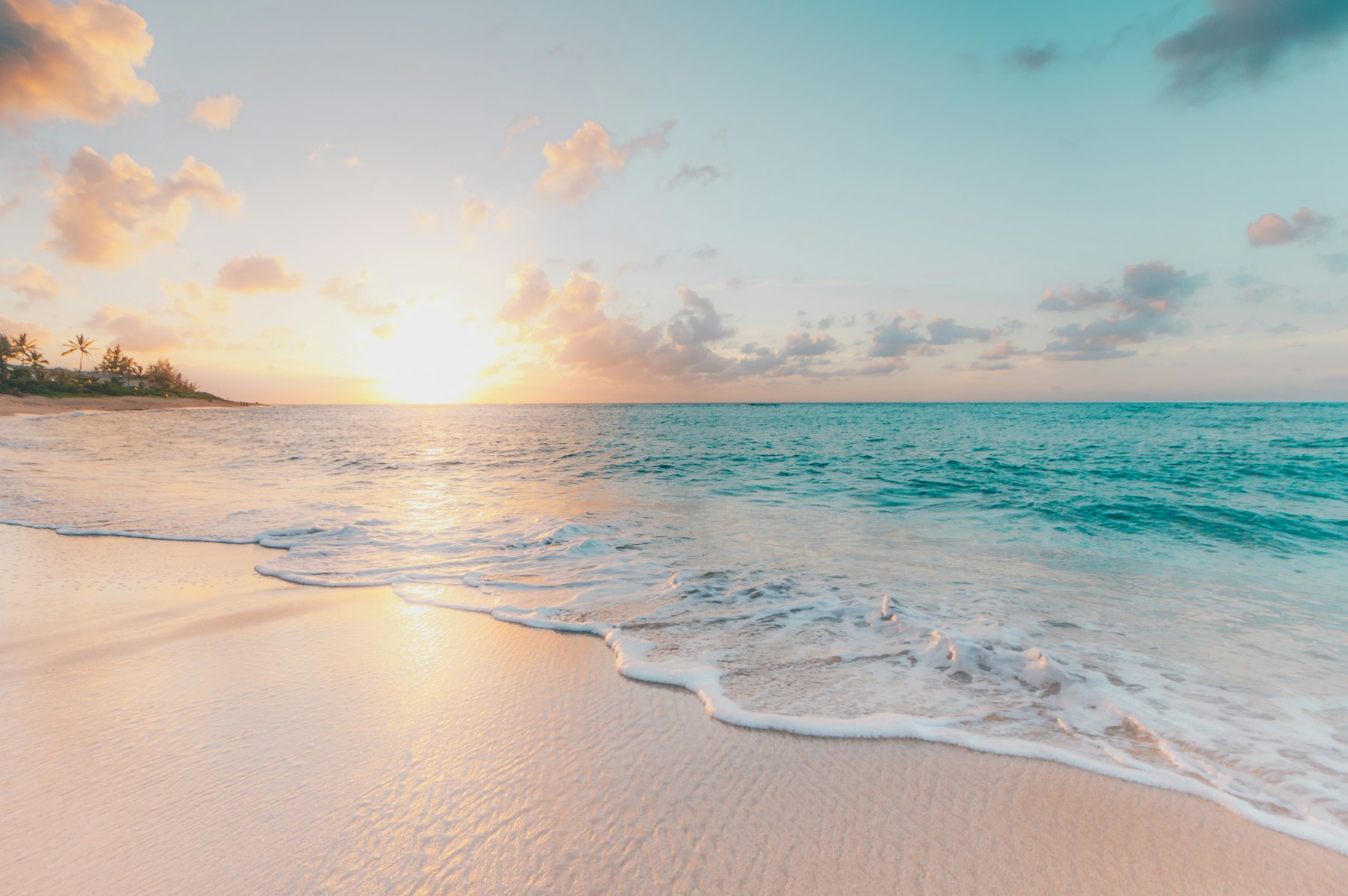 Saltwater shoreline